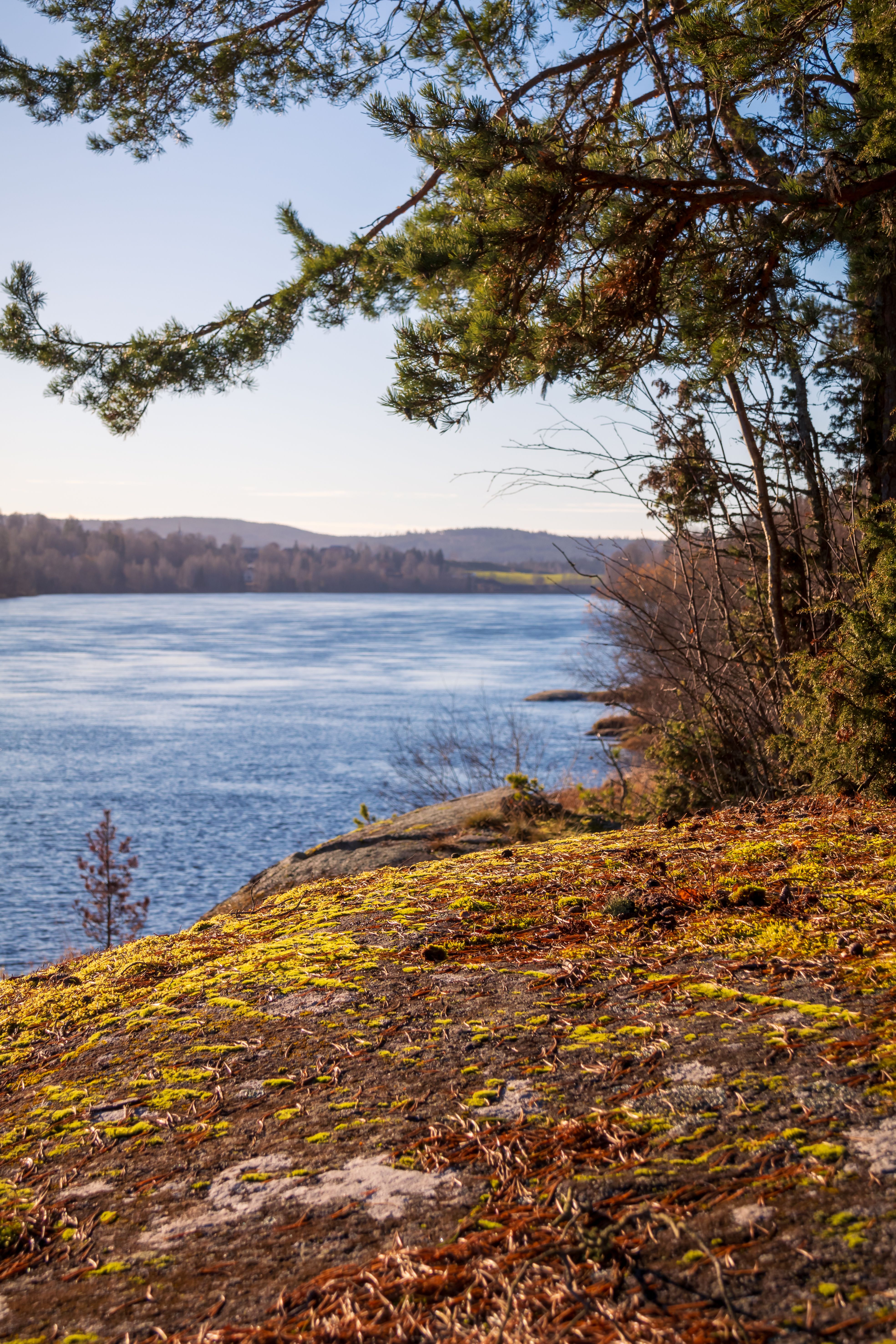 Serene Autumn Landscape by the Lake · Free Stock Photo