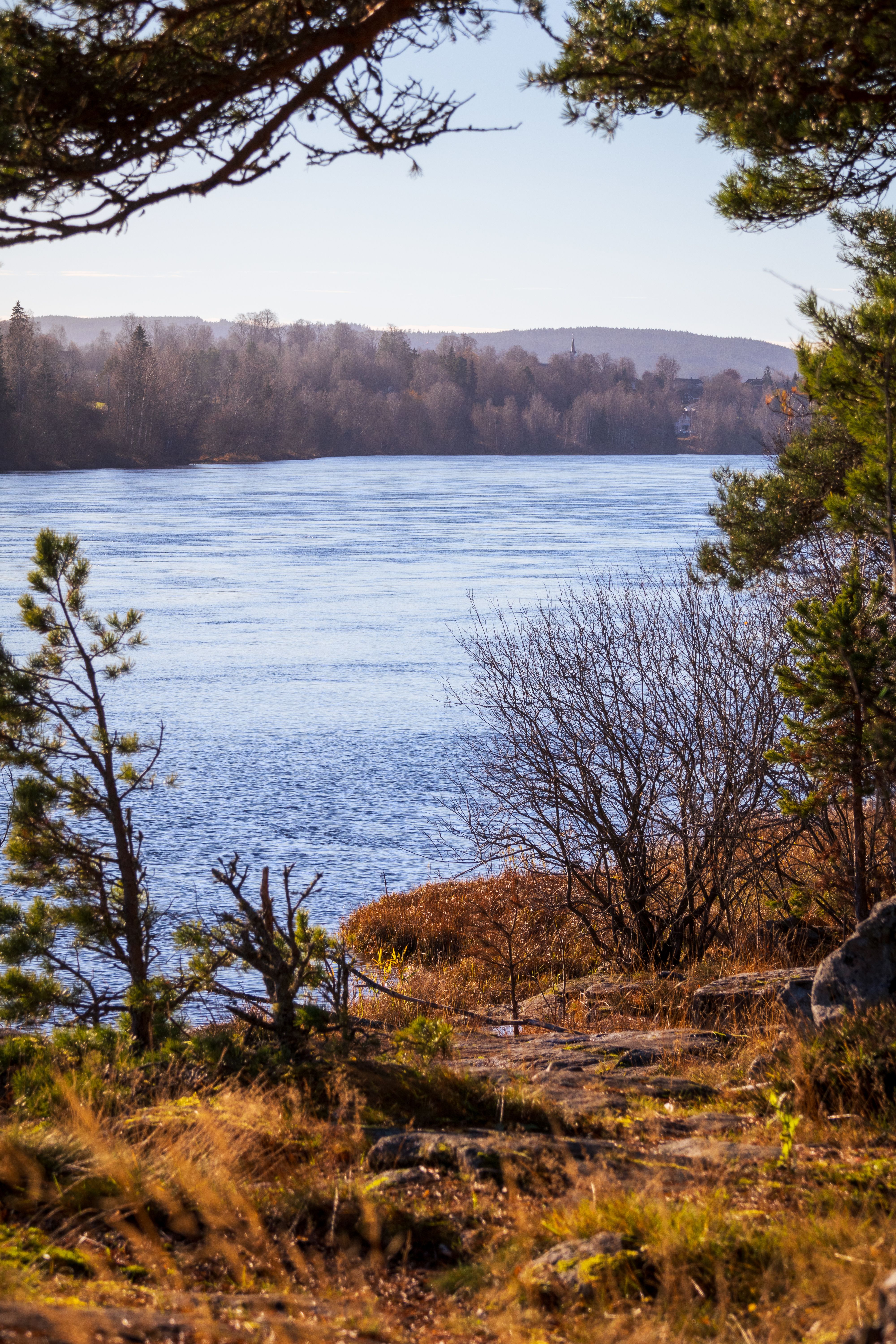 Serene Autumn Lake with Forest Backdrop · Free Stock Photo