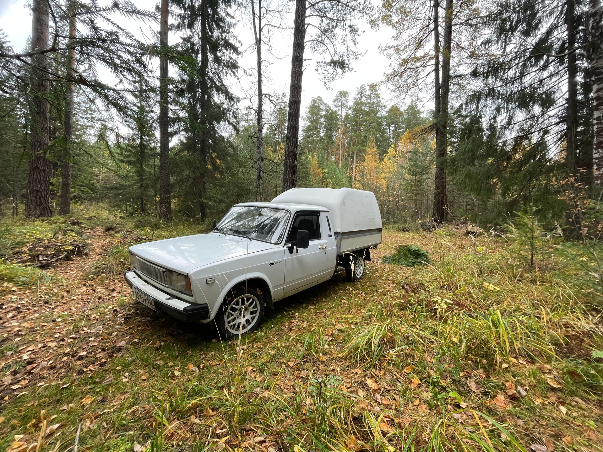 A classic white pickup truck parked amidst tall trees in a serene autumn forest.