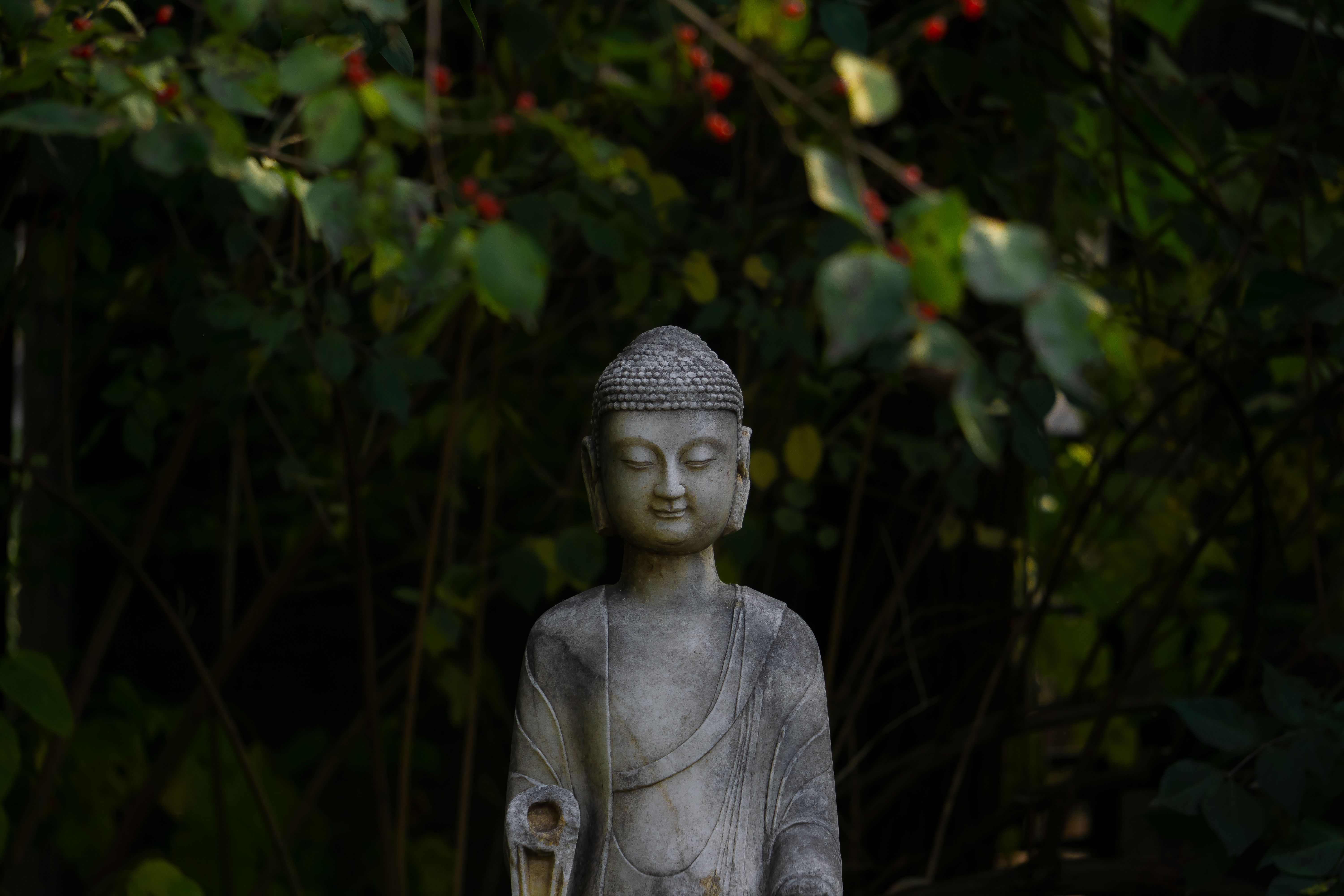 Why Ritual Persists Without Belief