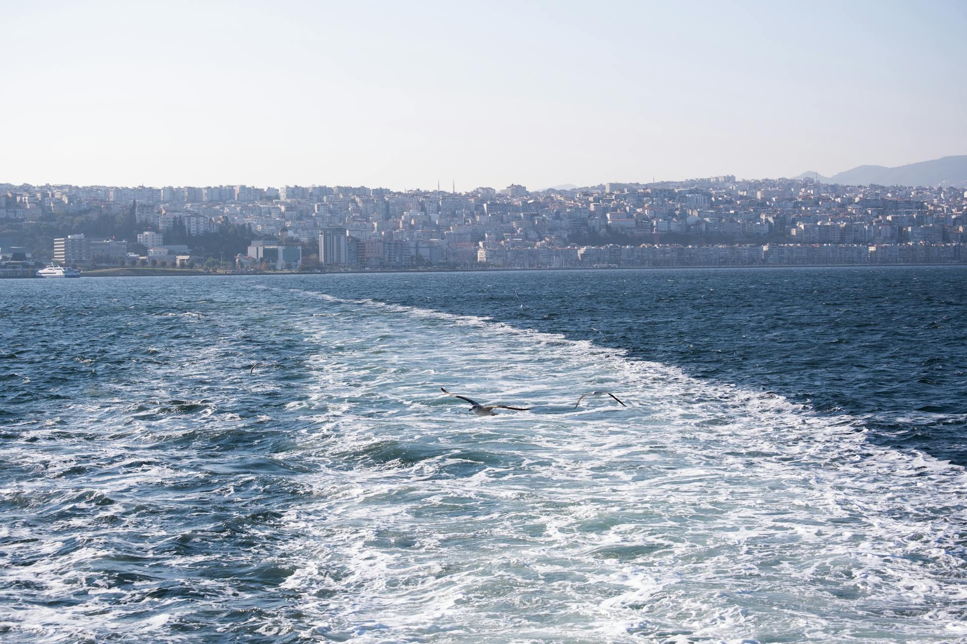 Captivating view of Izmir's Gulf from a ferry with seagulls and cityscape.