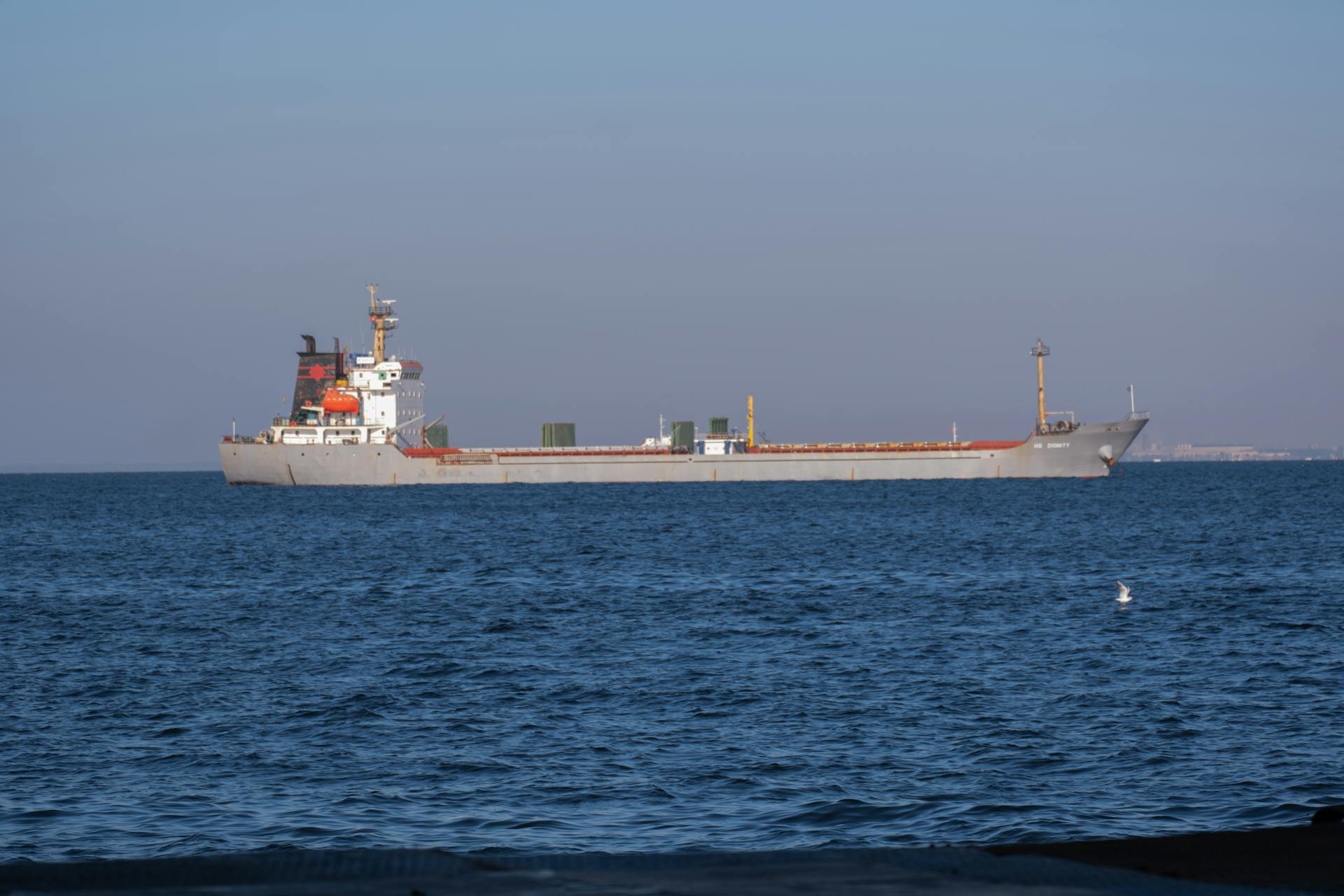 Container ship sailing in clear blue waters accompanied by a seagull under a bright sky.