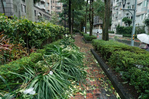 Strong Storms Leave Trail of Wind Damage in Northeast