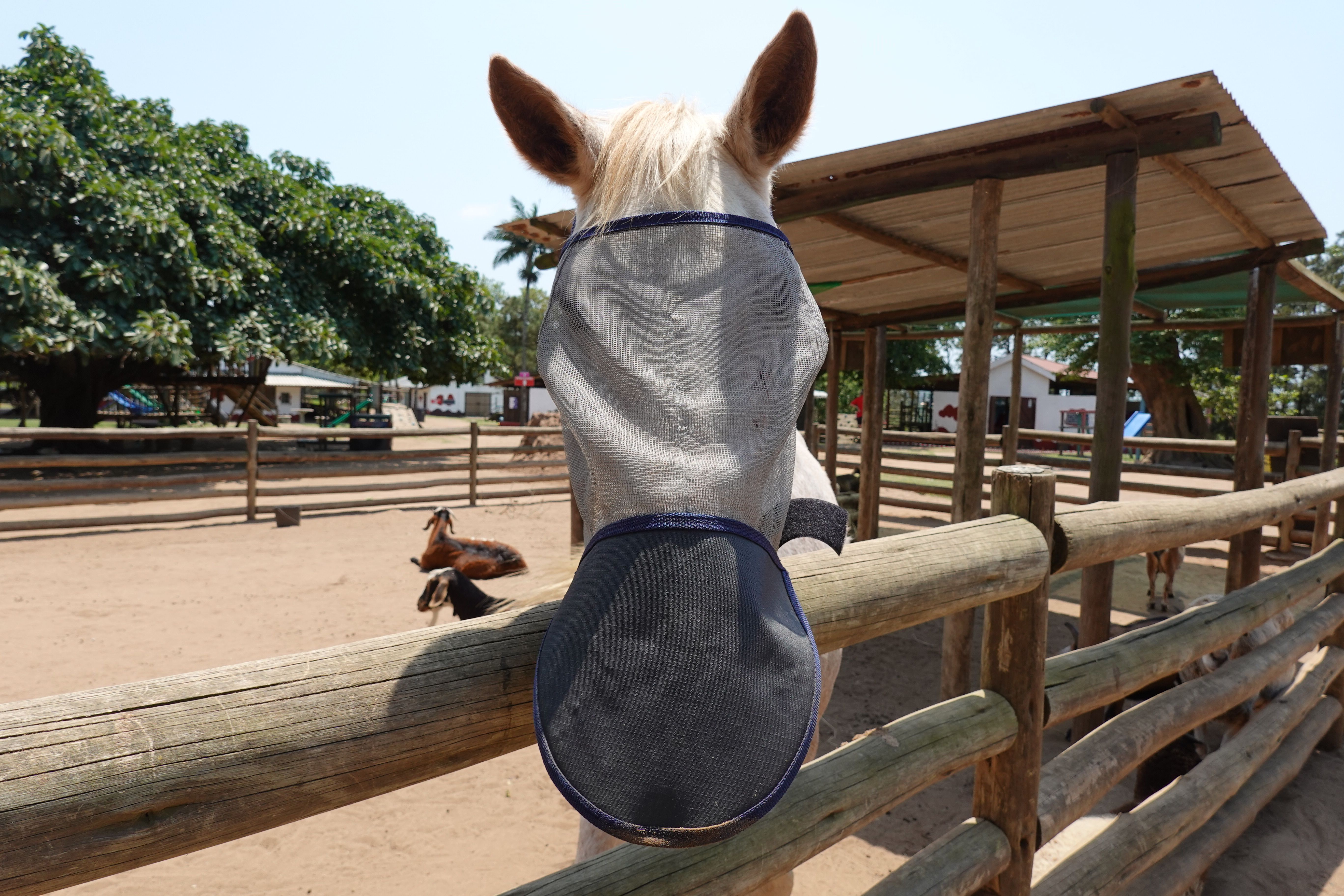 epiq Animal Health and Interpath Global Celebrate One Year in United States Distribution and E-Commerce - EquiManagement — Ph