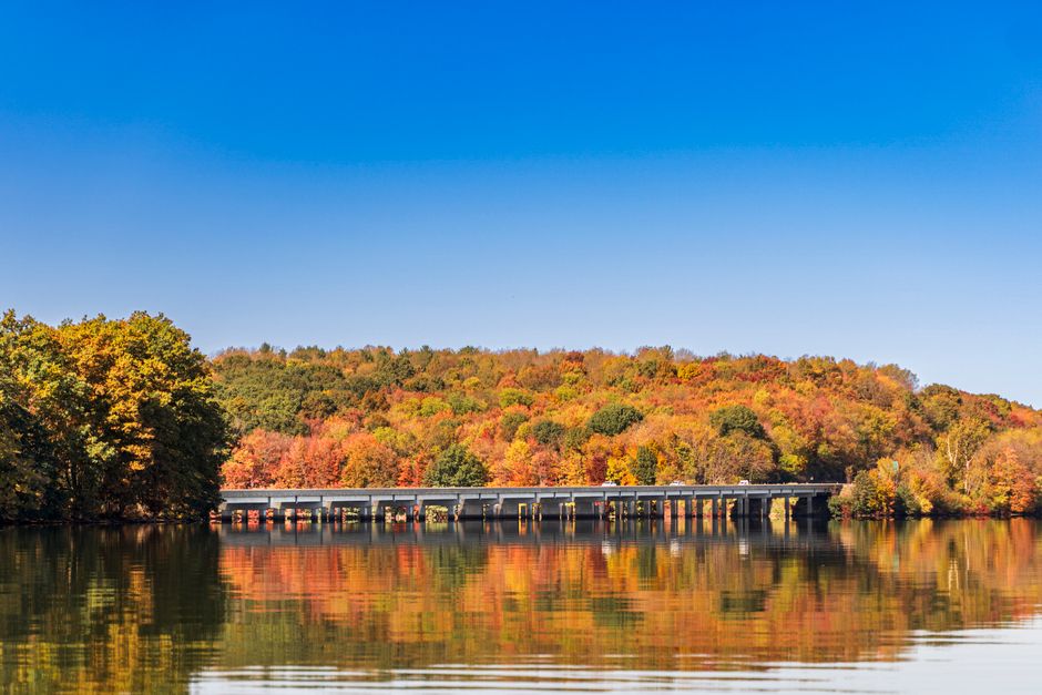 Allegrippis Trails (Raystown Lake)