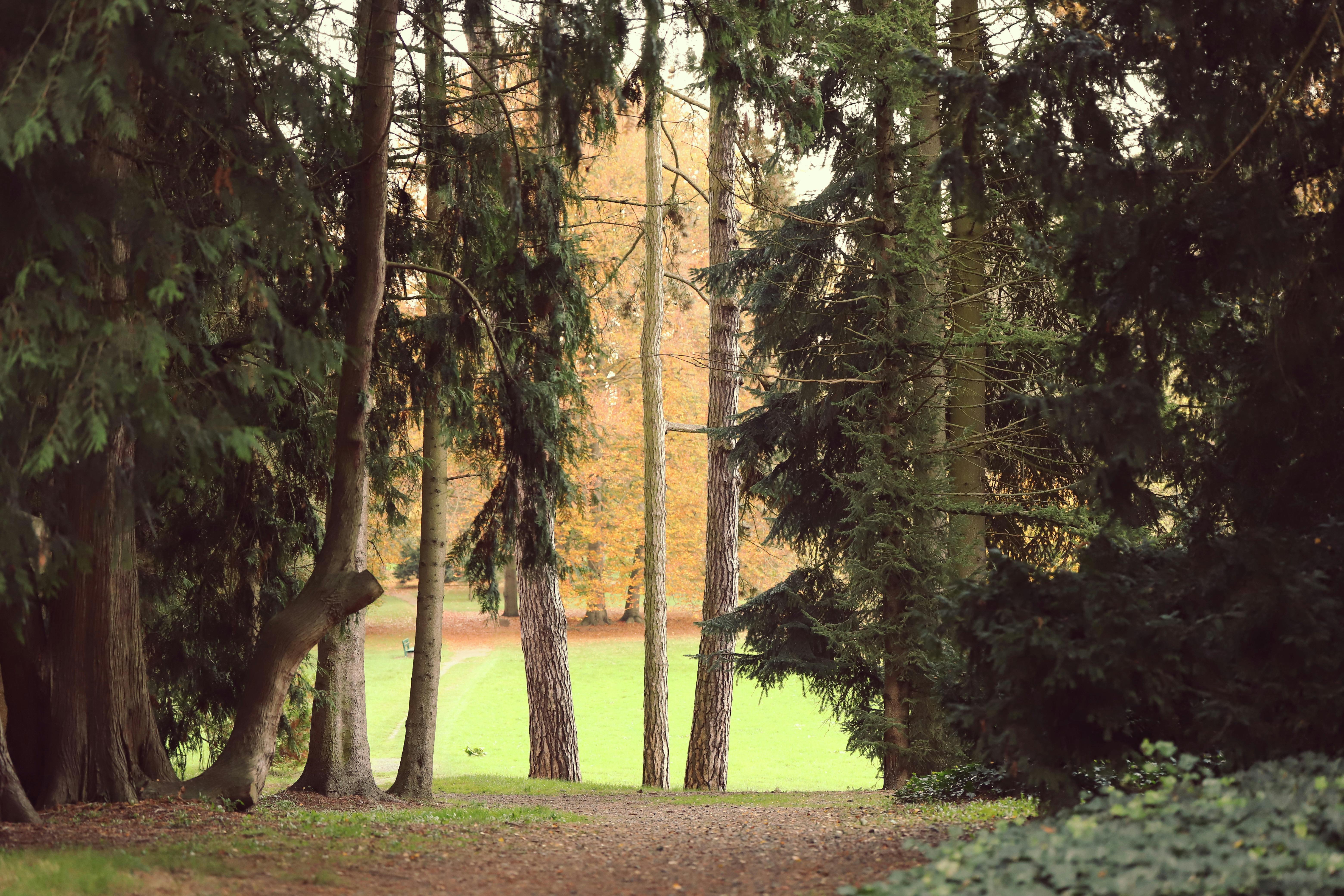 The Easy Way To Write Your First Ebook(1)