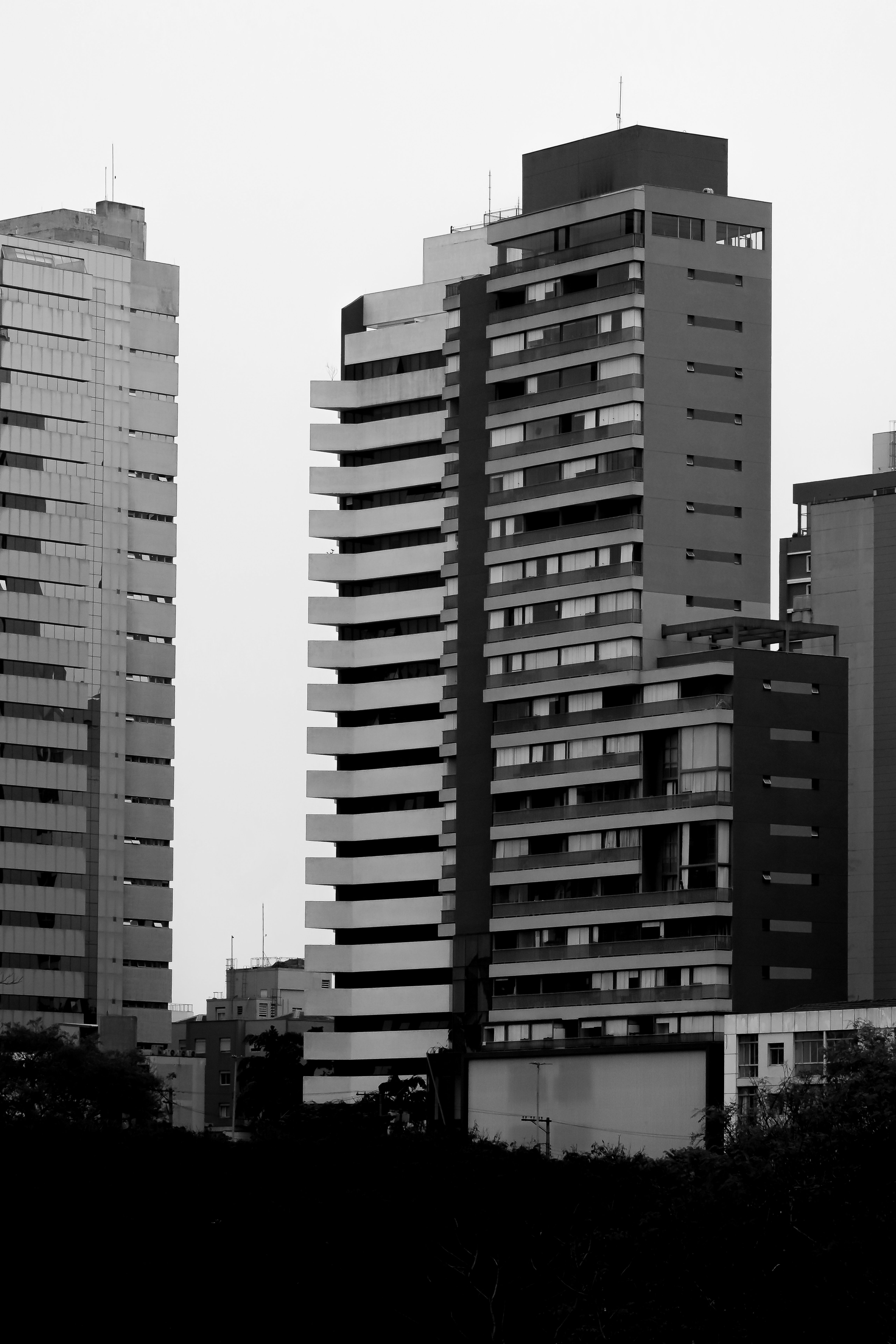 Fotomural Una toma en blanco y negro de edificios modernos de gran altura en un entorno urbano, que muestra el diseño arquitectónico.