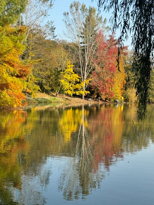 Free Bright, colorful fall foliage reflected in a calm lake under clear skies. Stock Photo