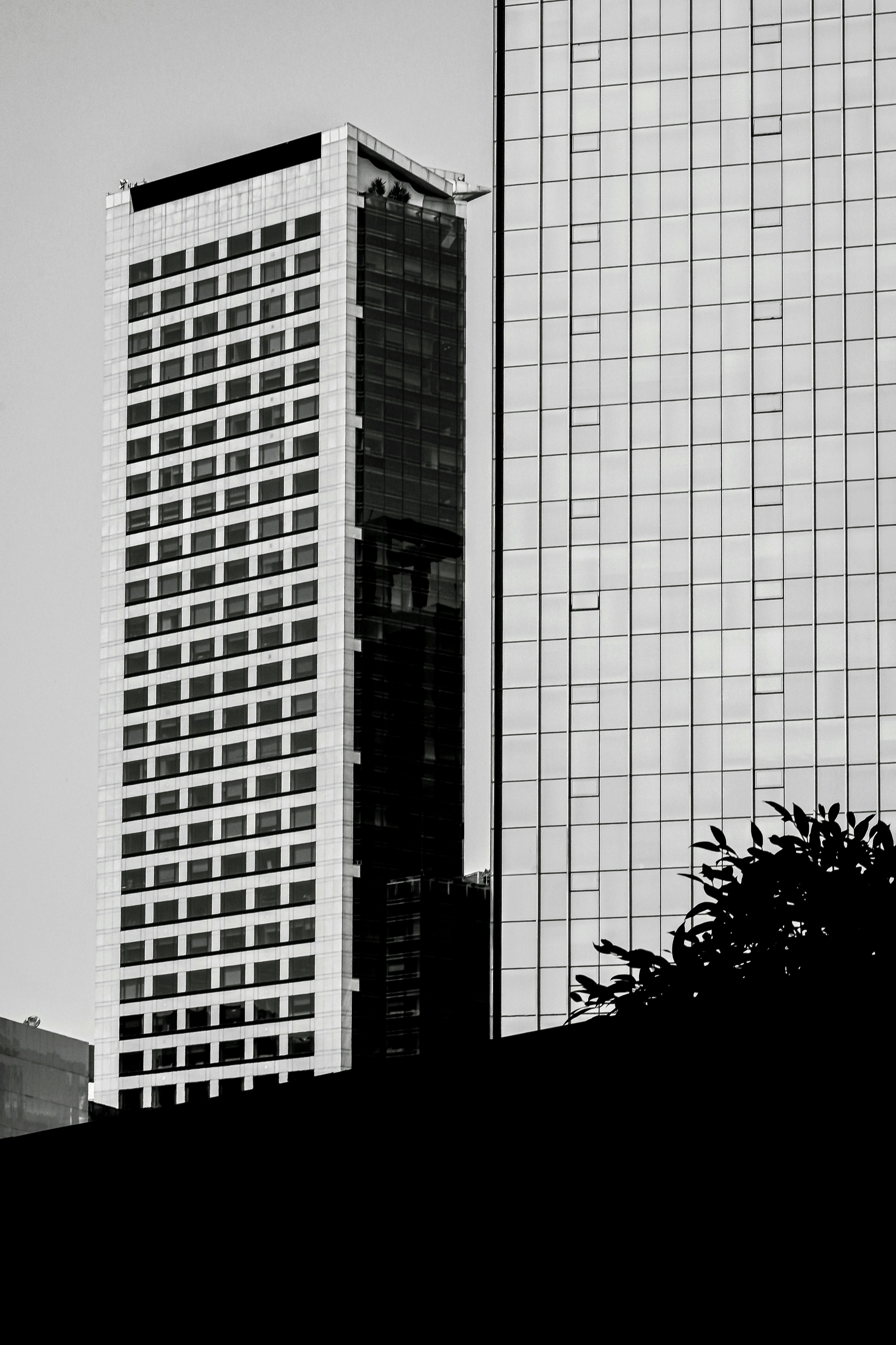 Zadarmo Čiernobiely obraz moderných mrakodrapov v mestskej lokalite s architektonickým dizajnom. Fotka z fotobanky