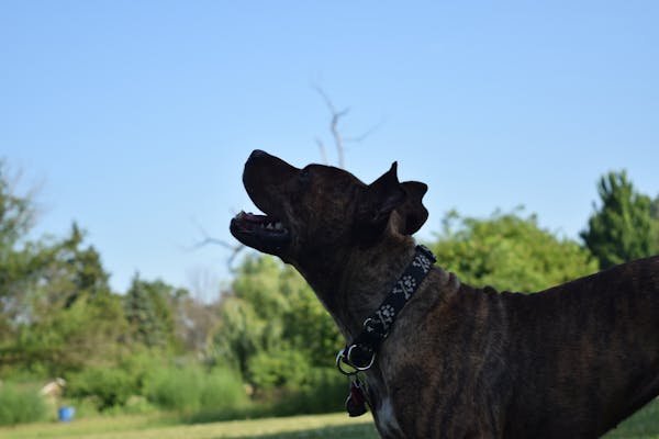 So sánh giá vé máy bay