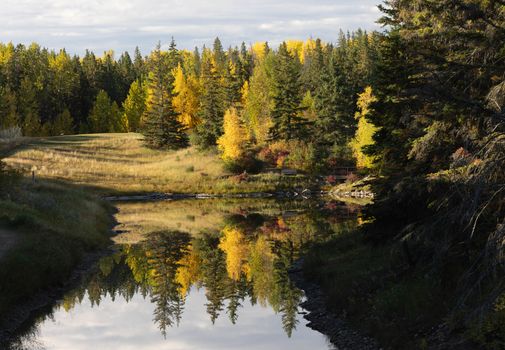 Serene autumn landscape with vibrant foliage reflecting in Mirror Lake in Red Deer, Alberta.