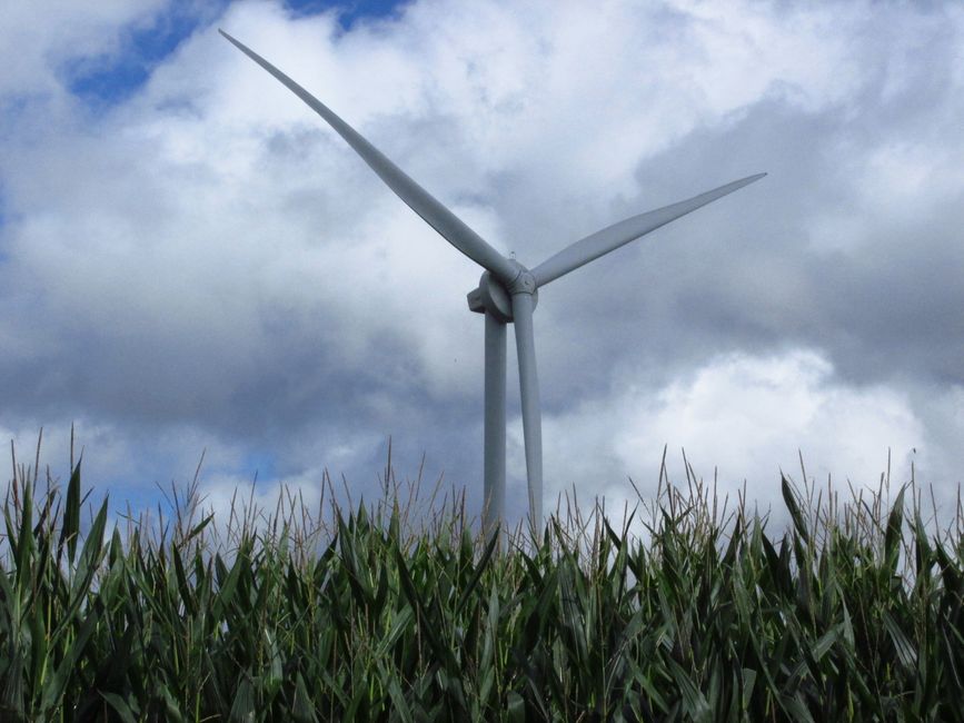 Wind turbine in a cornfield in Tournai, Belgium, with dramatic cloudy sky.
