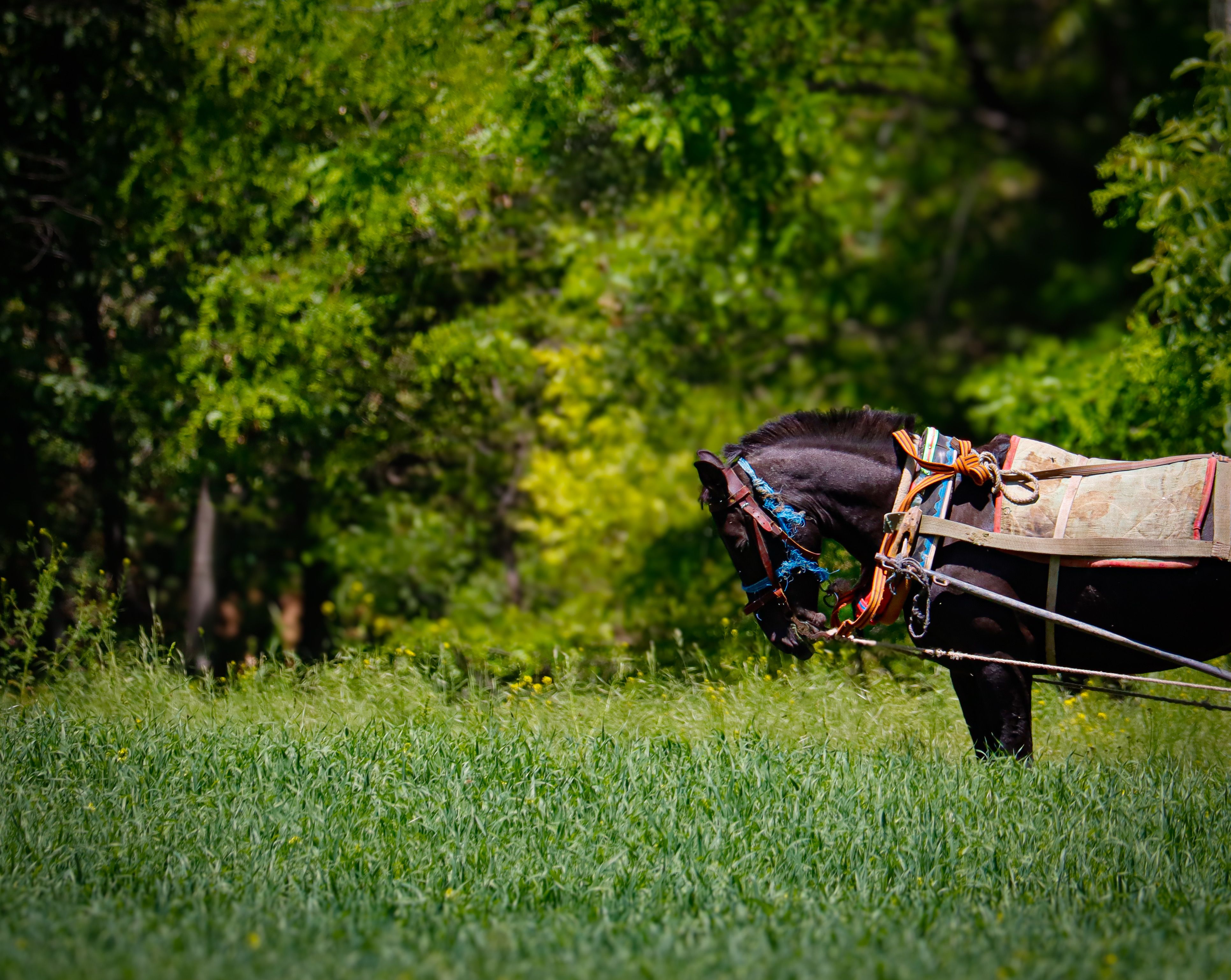 Harness Report Reveals AI Has Outpaced How Engineering Organizations Measure Developer Productivity — Photo by Ebubekir TOĞAC