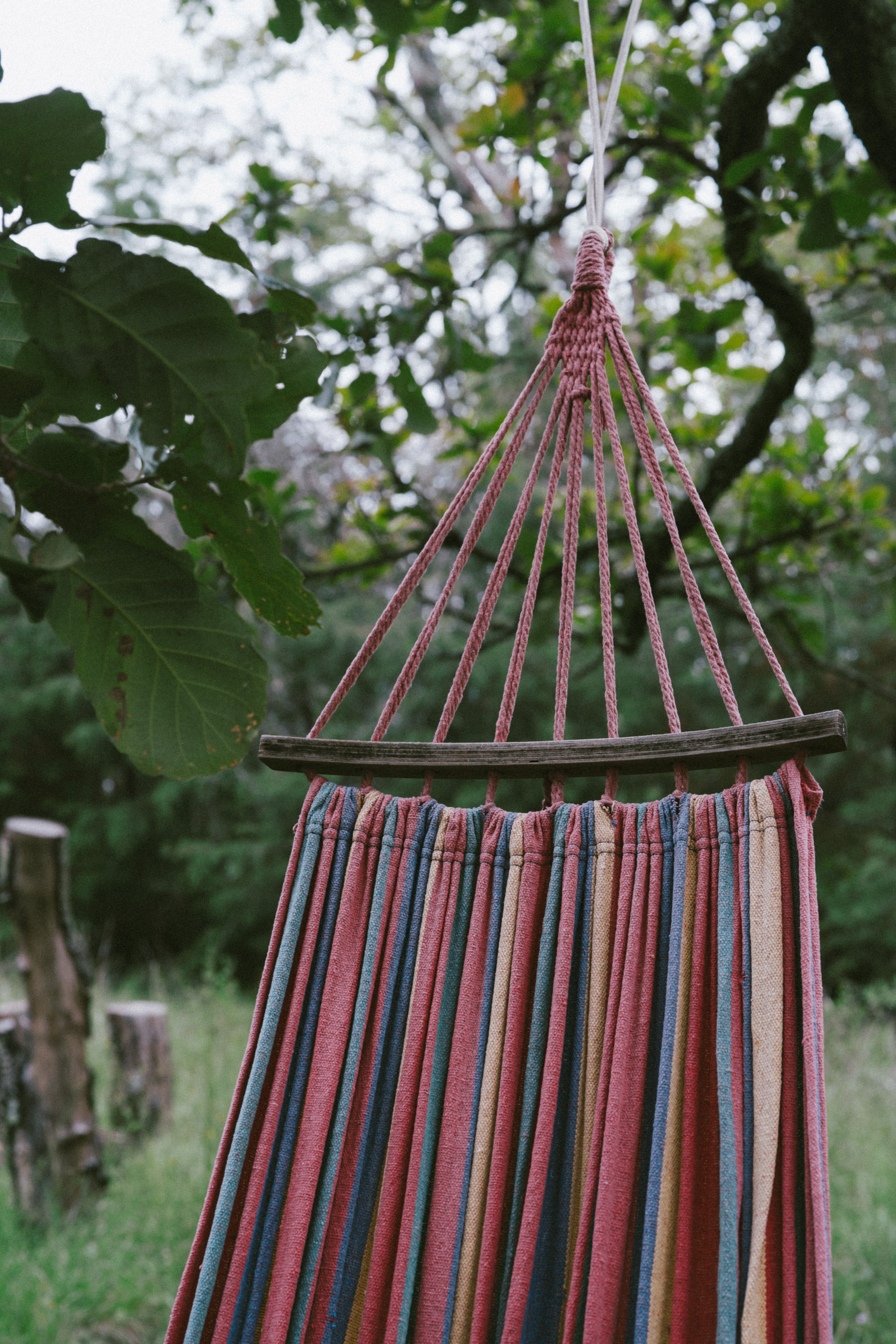 Striped hammock hanging outdoors among vibrant greenery and tall trees.