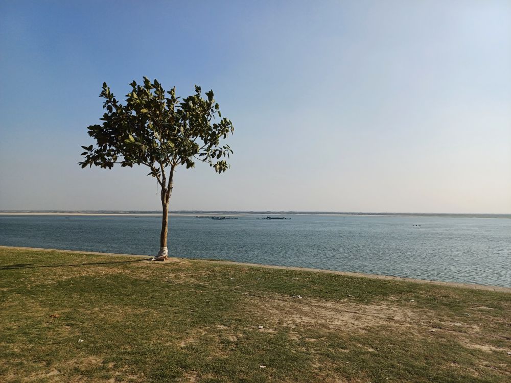 Lonely Riverside Lonely Tree by Riverside Under Clear Blue Sky · Free Stock Photo