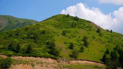 Free Explore the serene greenery of a hill in Bolu, Türkiye under a bright blue sky. Stock Photo