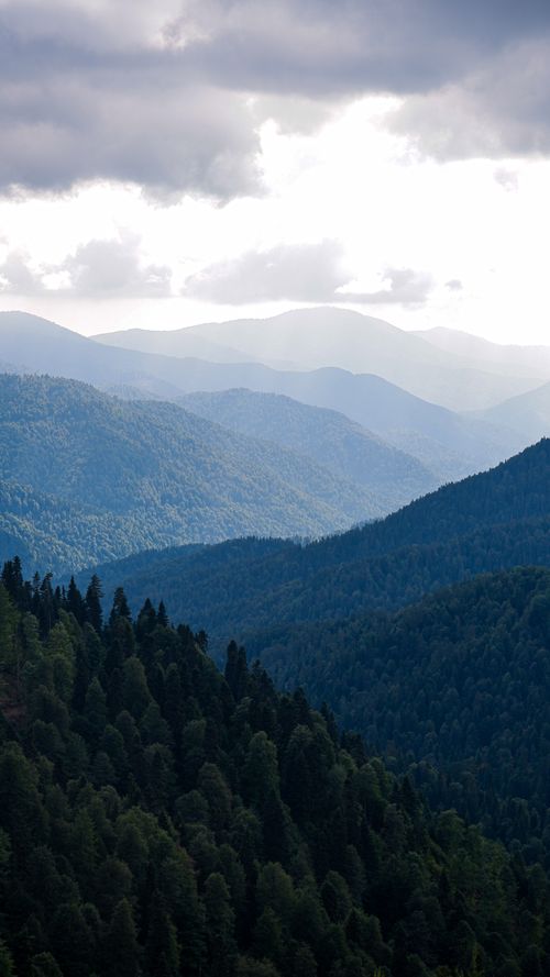 Free Majestic view of Bolu's lush, forested mountains under a dramatic sky. Stock Photo