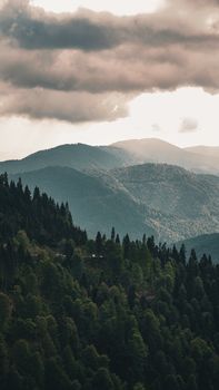 Breathtaking view of tree-covered mountains in Bolu, Türkiye with dramatic clouds above.