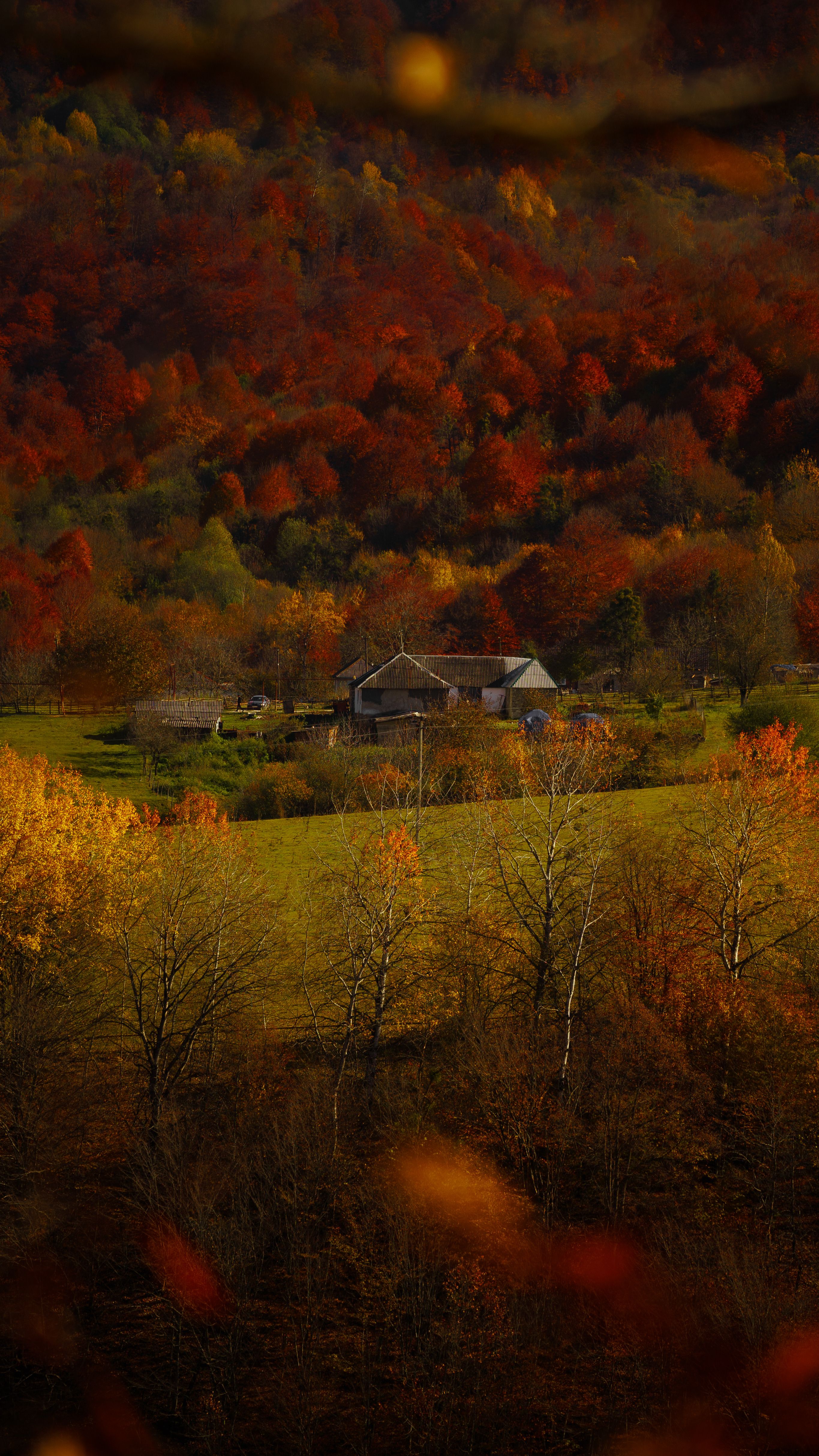 Rustic Cabin Amidst Vibrant Autumn Foliage · Free Stock Photo