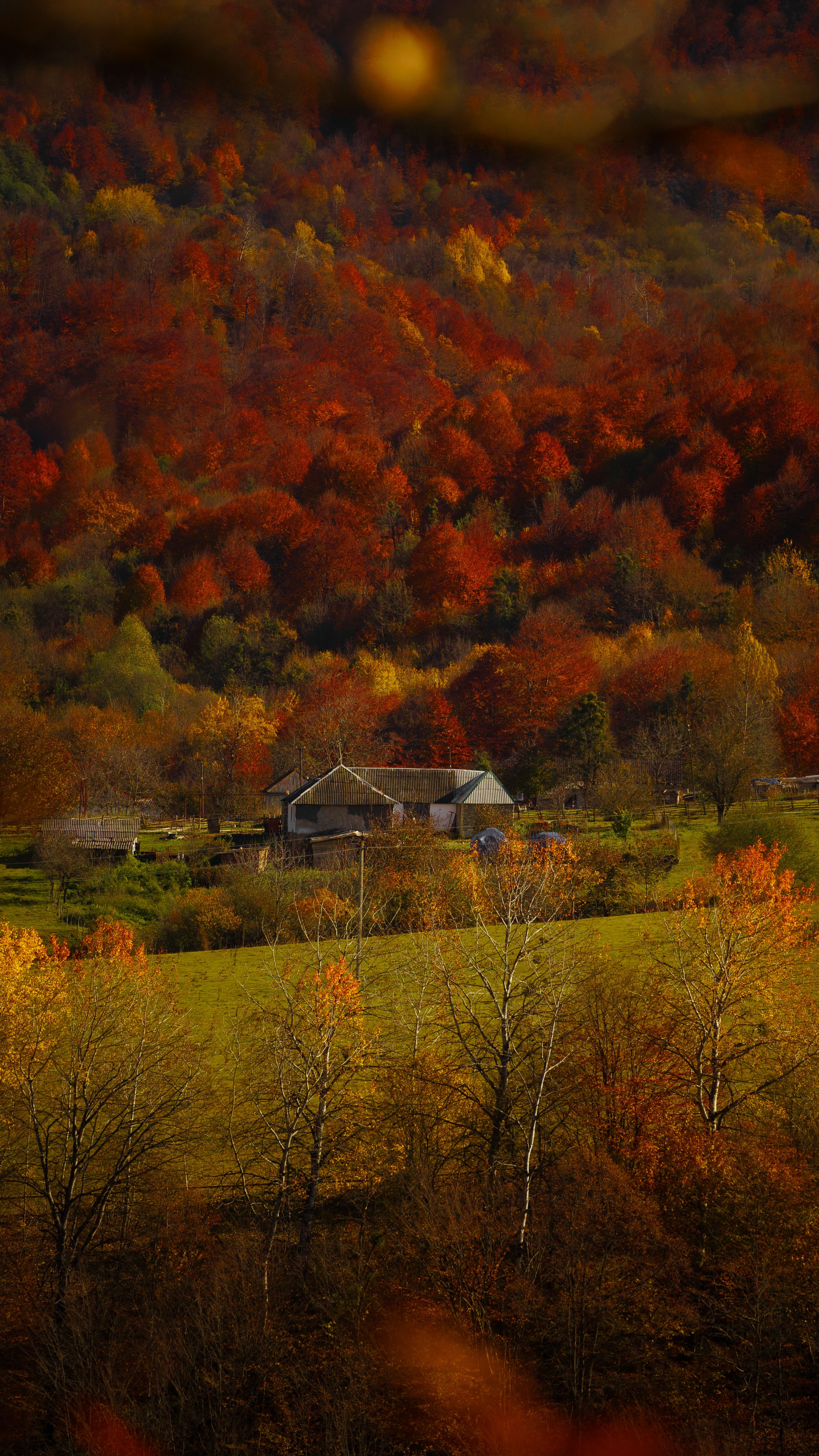 Scenic Autumn Landscape with Rustic Farmhouse · Free Stock Photo