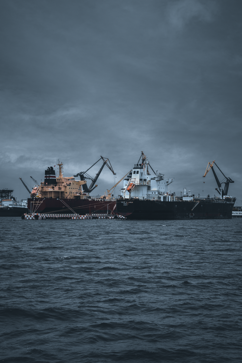 Moody ocean view featuring cargo ships and cranes under a dramatic sky.