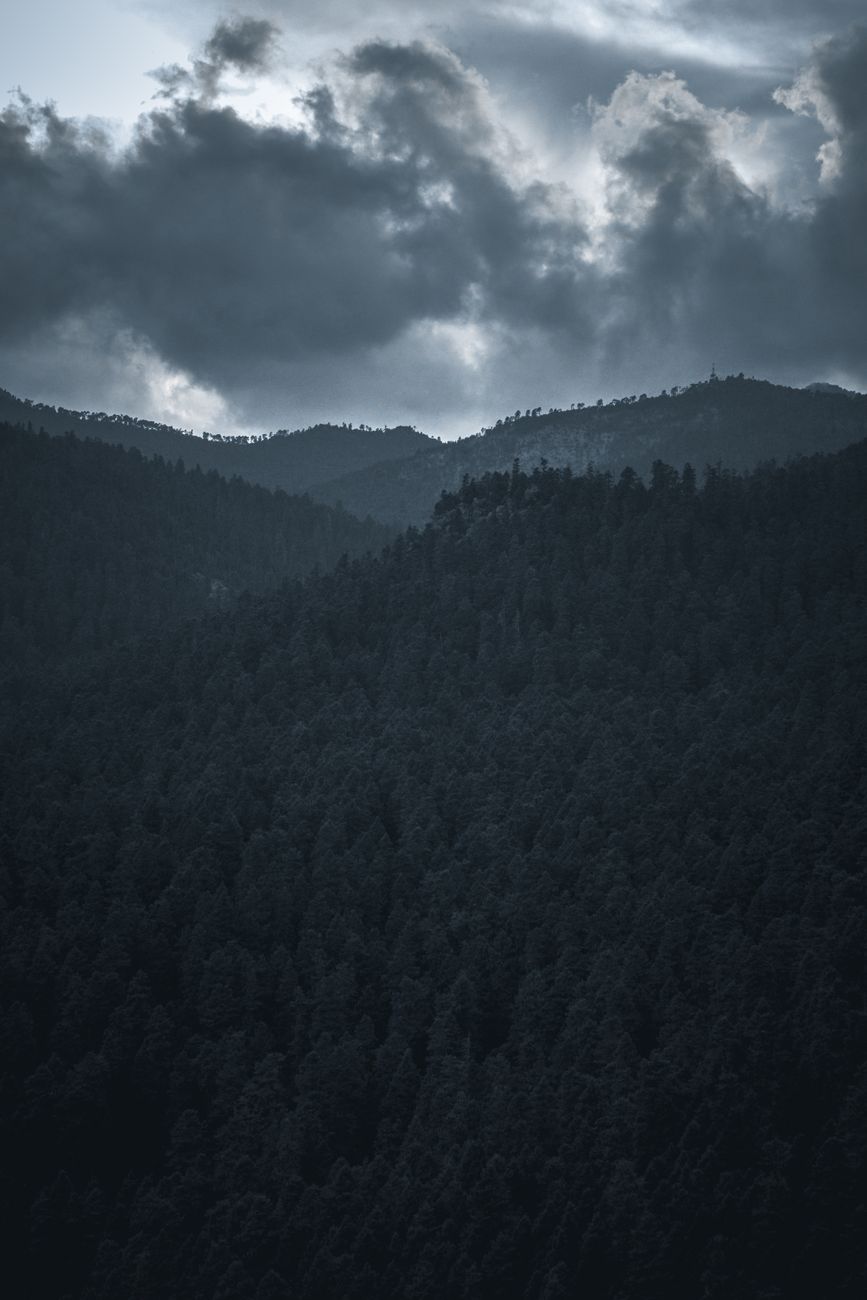 A moody forested mountain landscape under dramatic cloudy skies, capturing nature's intensity.