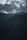 moody forest