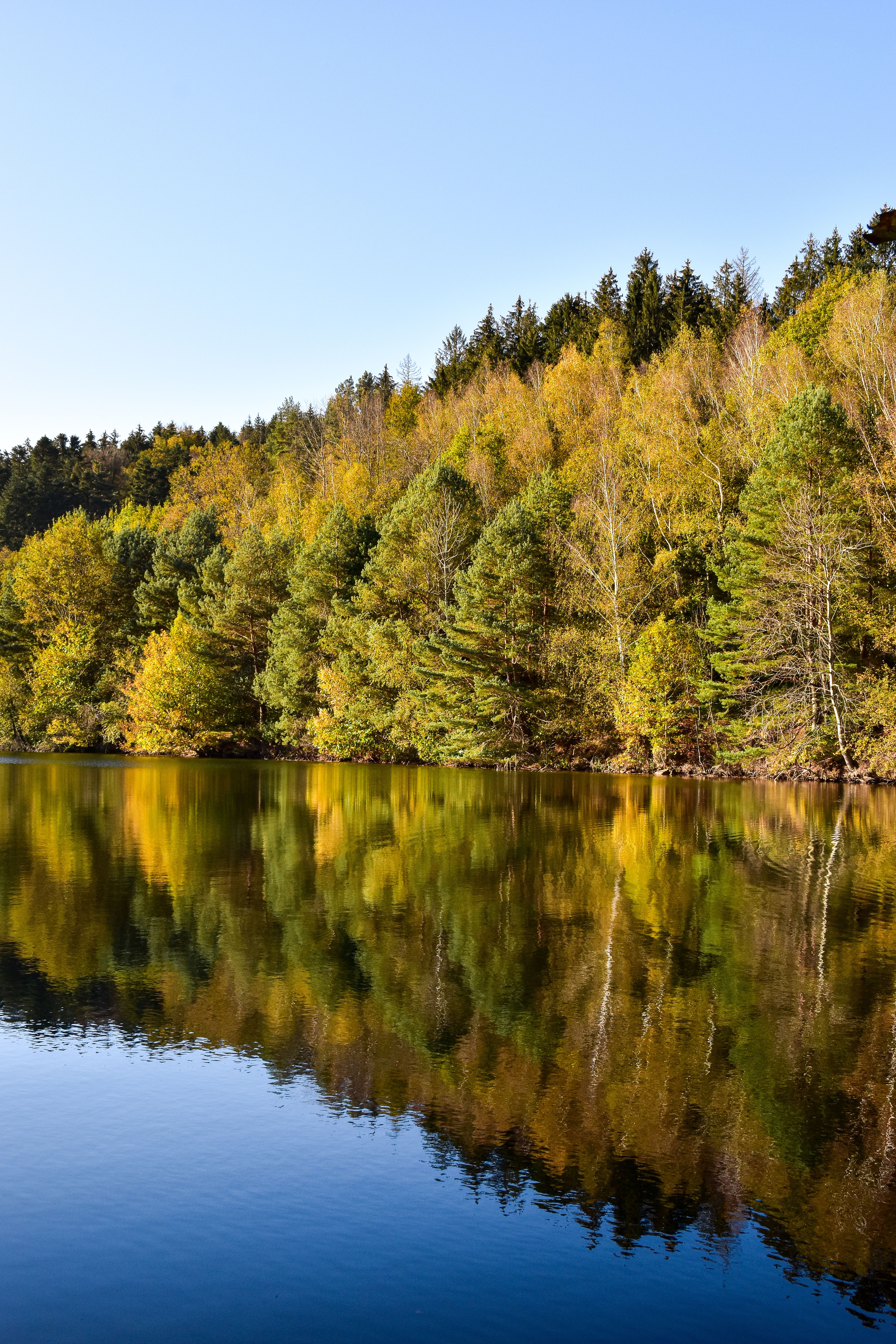 Beautiful autumn forest reflecting in the calm lake at Pierre-Percée, France.