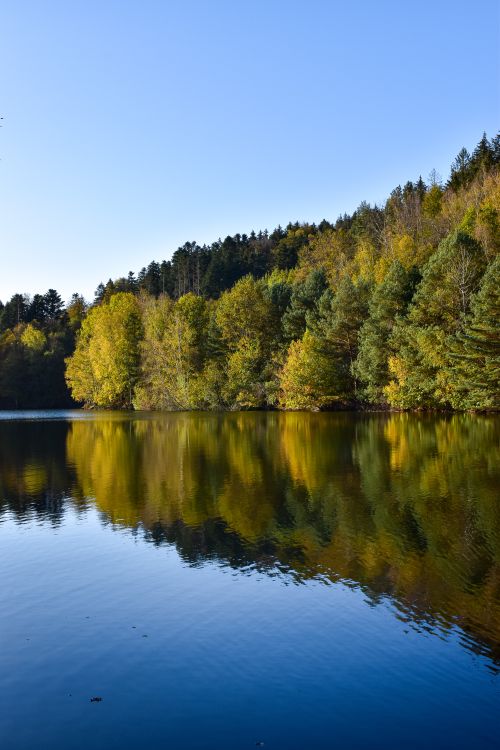 Free Picturesque view of a calm lake reflecting a vibrant forest in Pierre-Percée, France. Stock Photo
