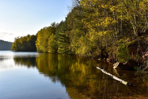 Free Tranquil view of Pierre-Percée lake and forest in autumn, Grand Est, France. Stock Photo