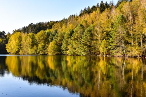 Free Stunning autumn forest reflections on Lake Pierre-Percée in Grand Est, France. Stock Photo