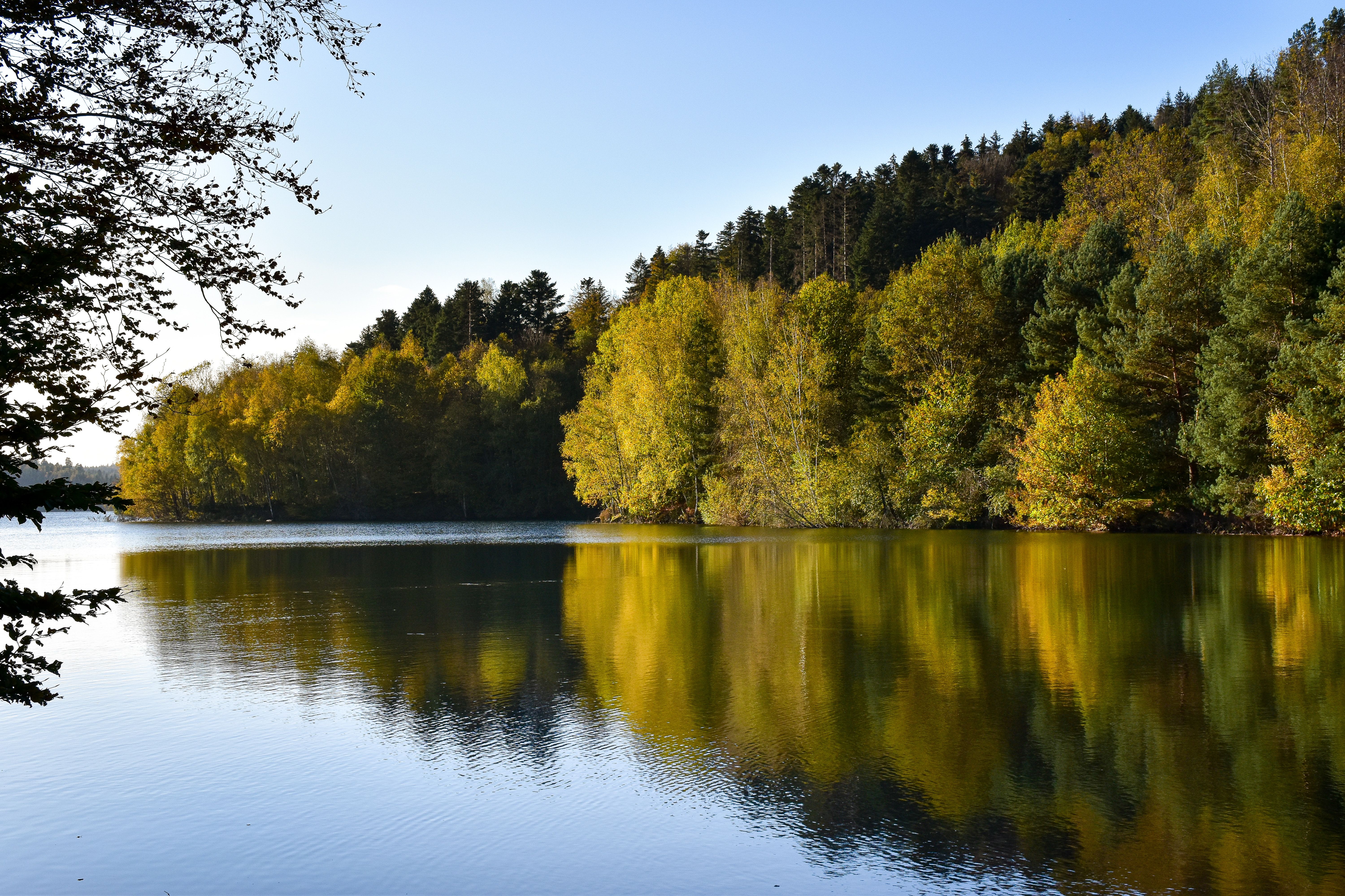 Forêt de Compiègne