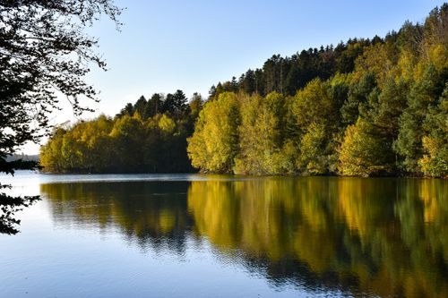 Free Beautiful autumn lake reflection in Pierre-Percée, France, surrounded by dense forest. Stock Photo