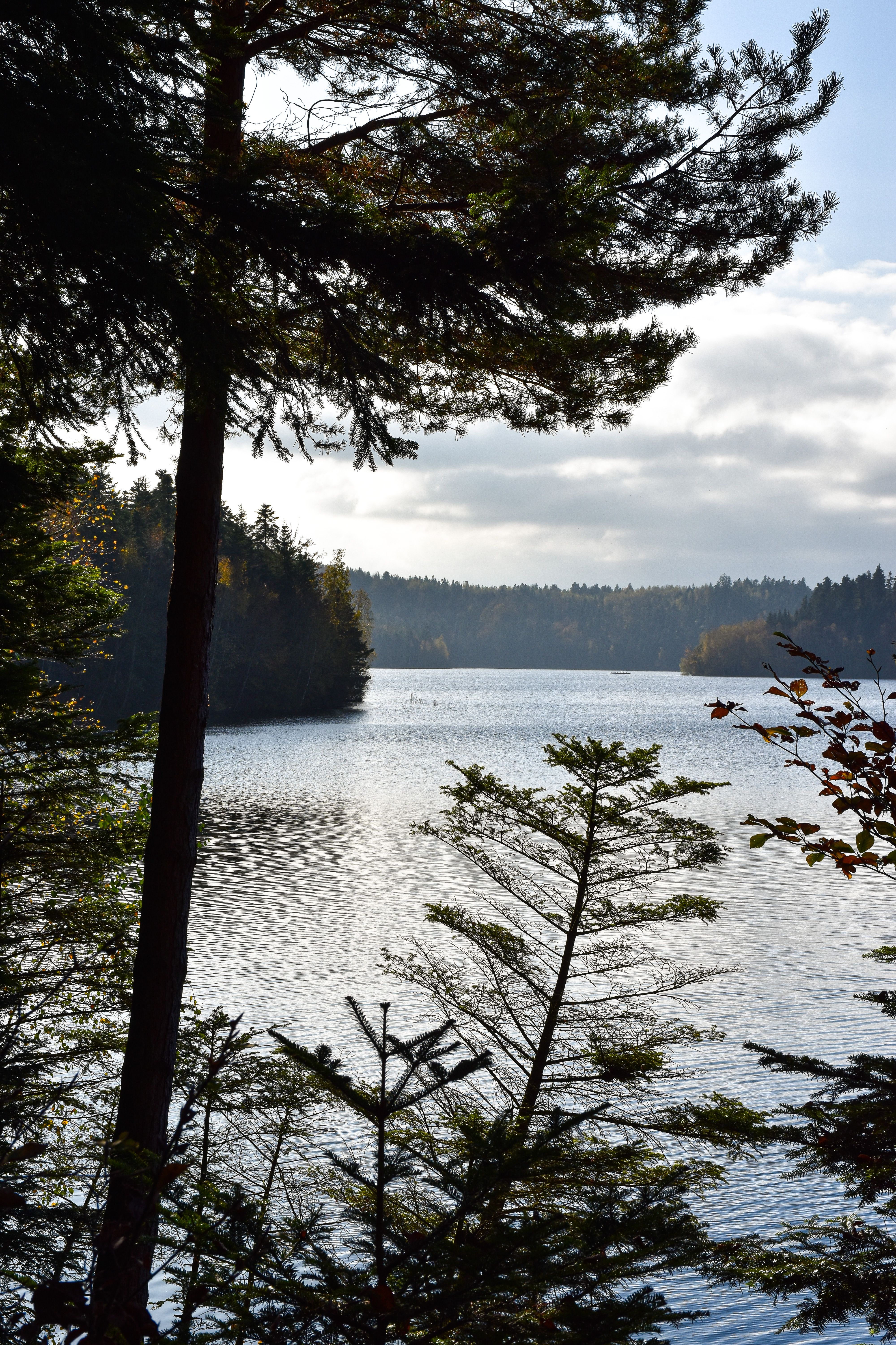 Un lac paisible au lever du jour