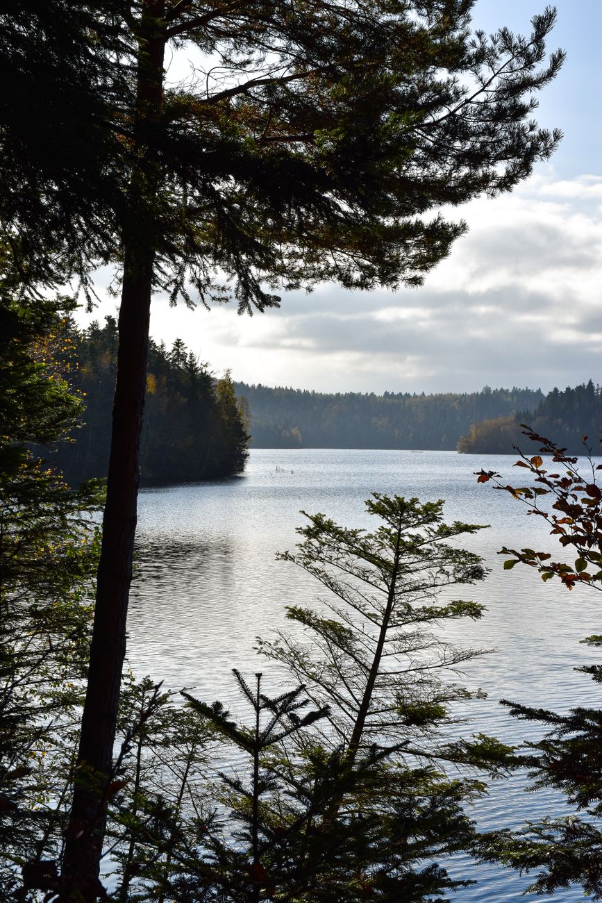 Un lac paisible au lever du jour