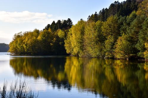 Free Calm autumn lake reflecting vibrant trees in Pierre-Percée, France. Stock Photo