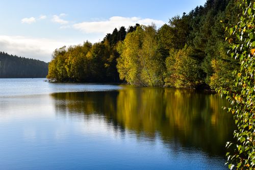 Free Beautiful autumn scenery with vibrant reflections at Pierre-Percée Lake, France. Stock Photo