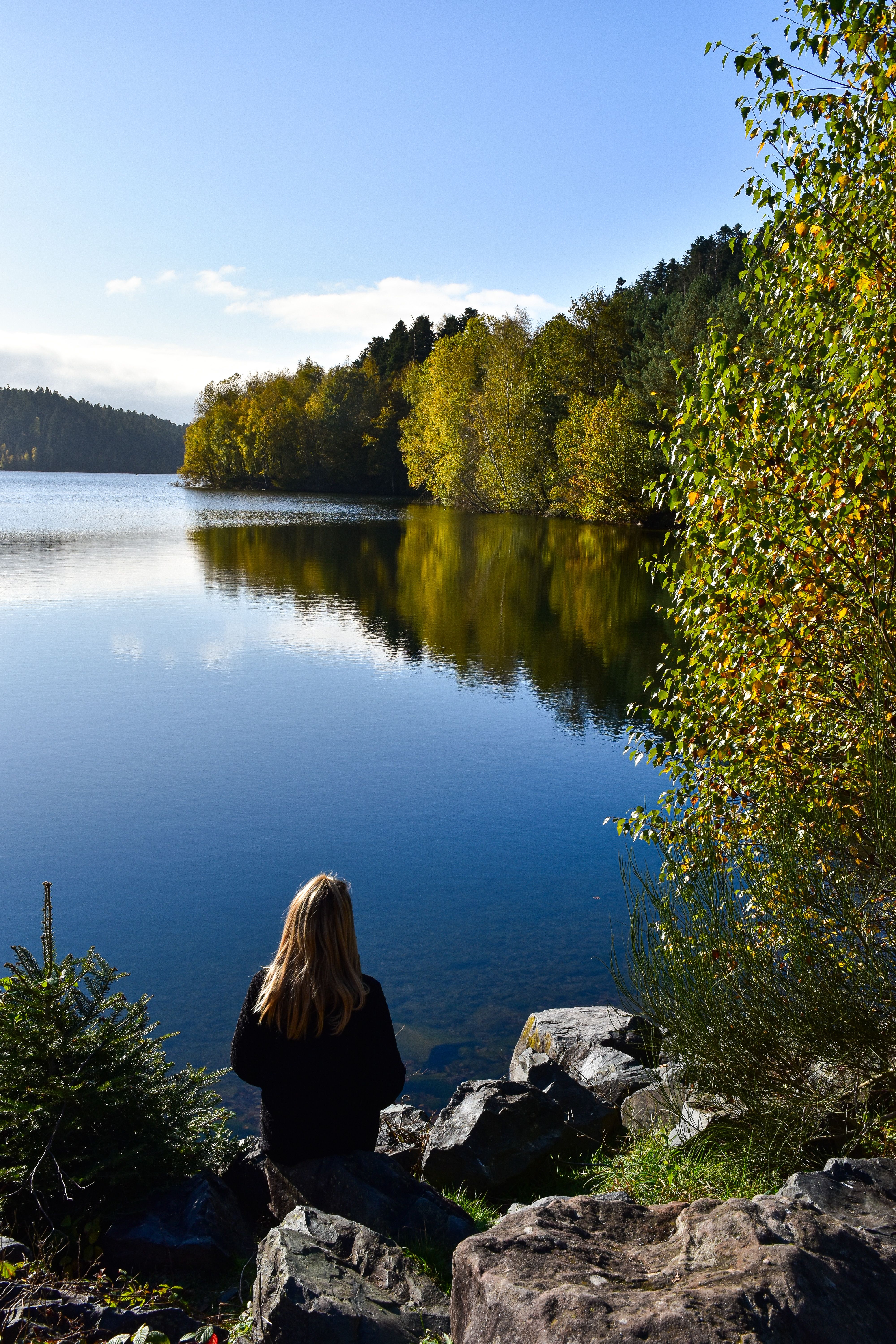 Fotomural Tranquila escena junto al lago con árboles otoñales y aguas tranquilas en Pierre-Percée, Francia.