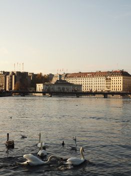 Swans Island