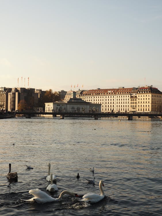 NotarSwiss Genf
