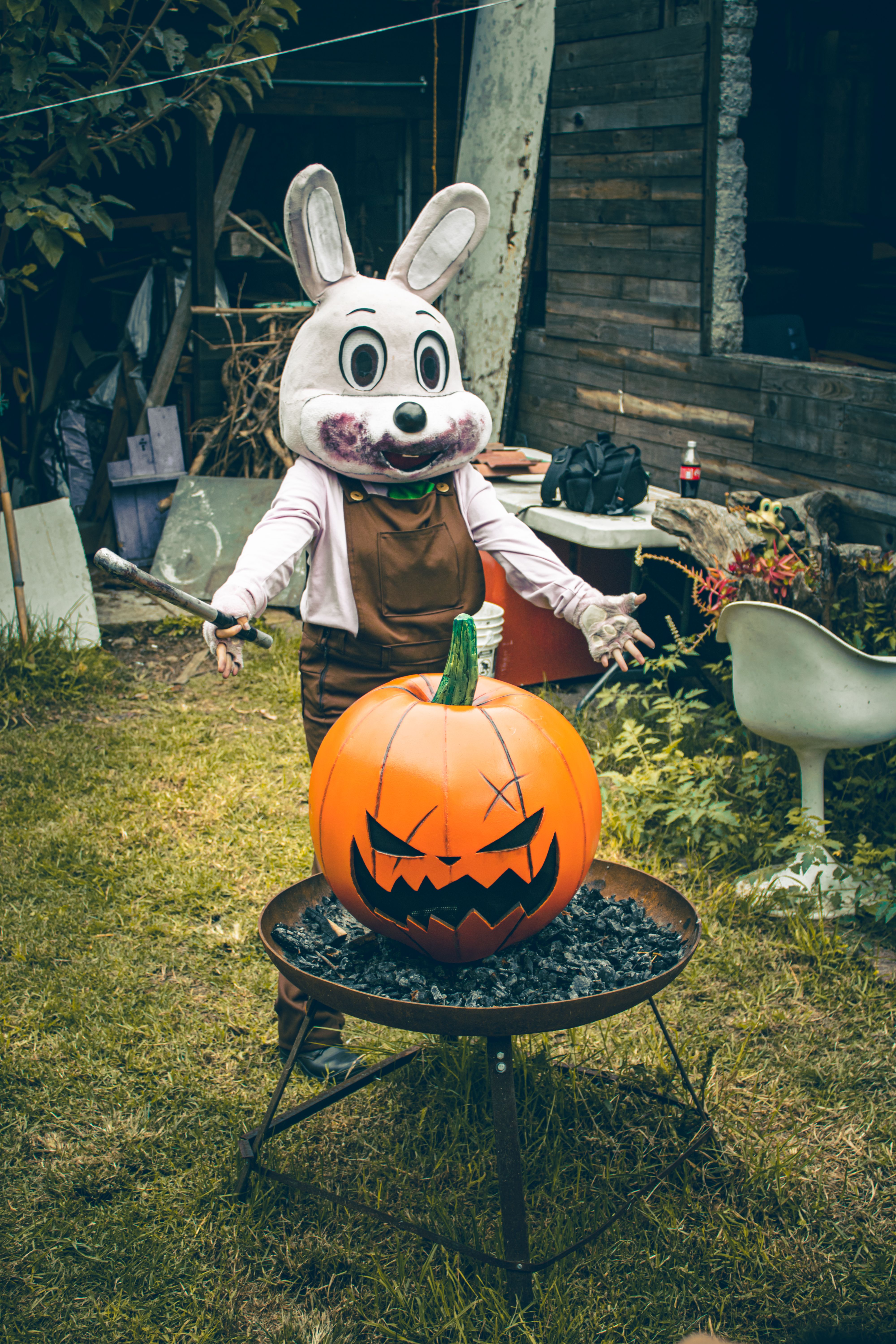 Spooky Halloween Rabbit Costume Outdoor Display · Free Stock Photo