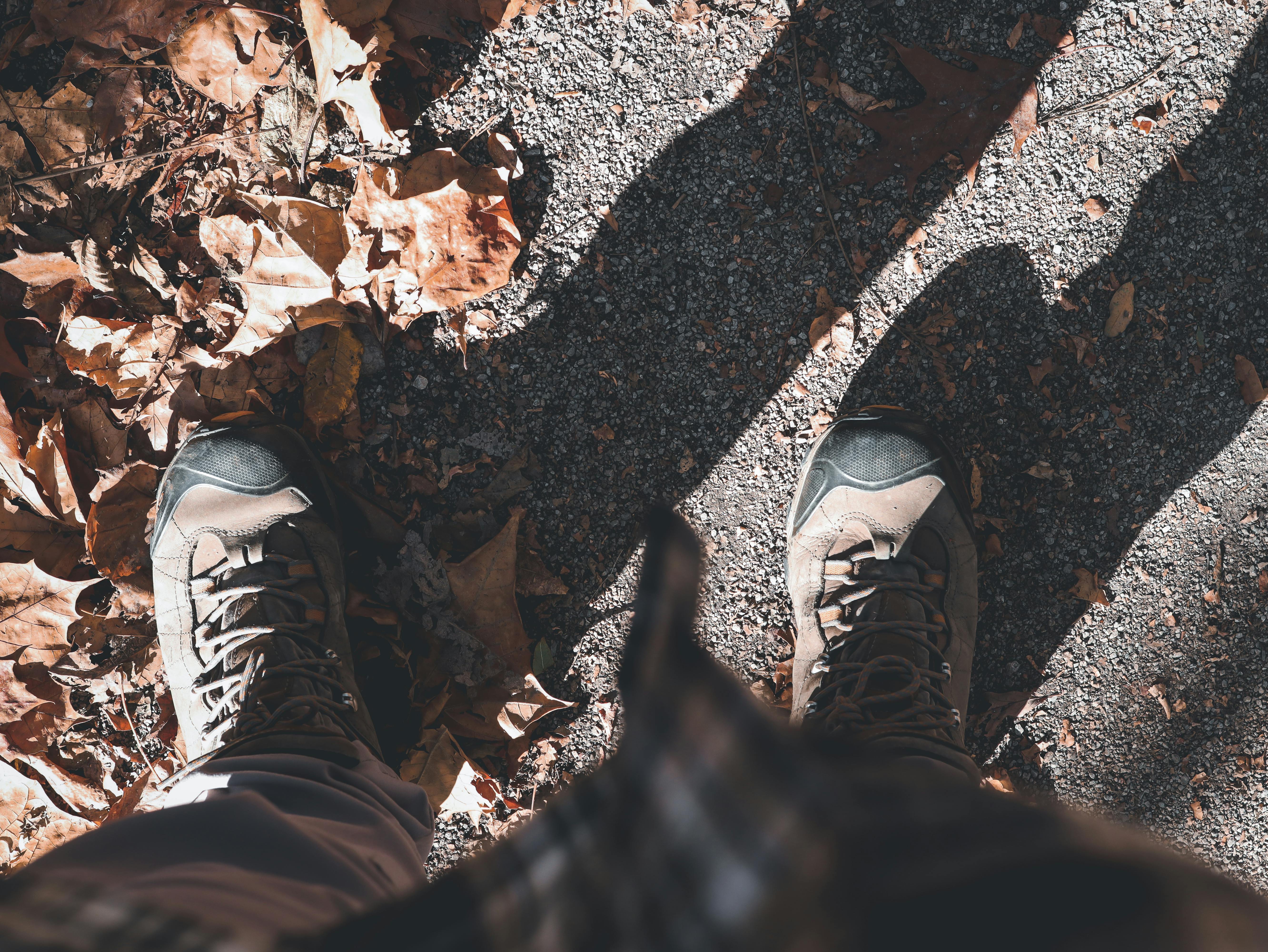 Great American Outdoor Show returns to Harrisburg for 2026: What to know before you go — Photo by Azvern on Pexels
