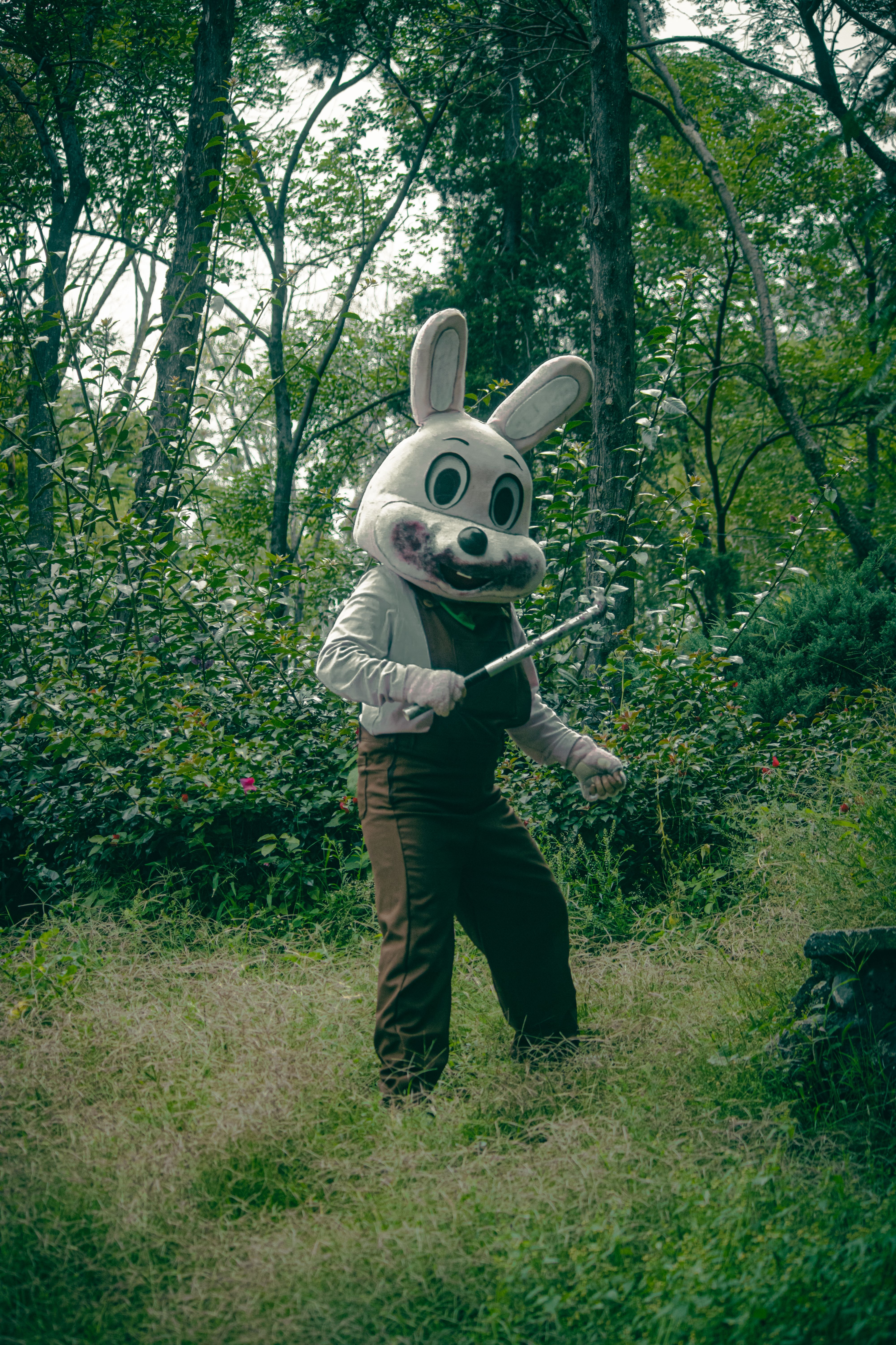 Mysterious Rabbit Costume in a Forest Setting · Free Stock Photo