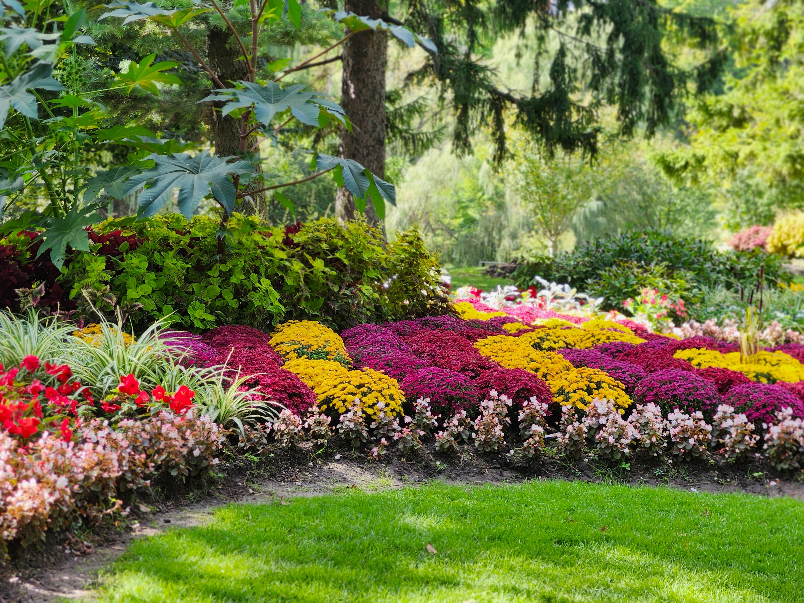 Colourful landscaped flower garden