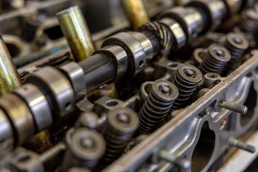 Detailed view of an engine camshaft and valve springs, showcasing mechanical precision.