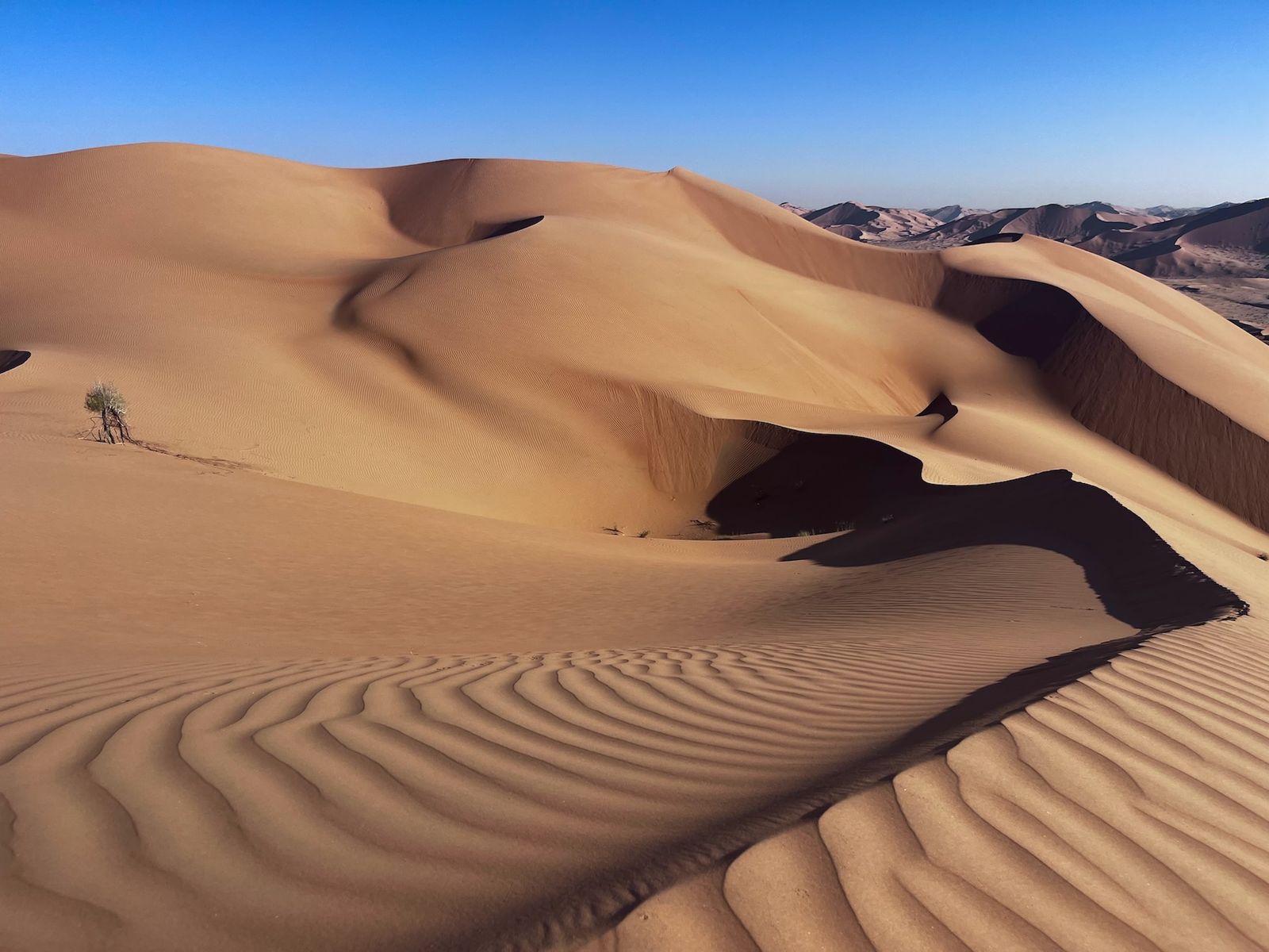 A desert wadi with dramatic rock formations under a bright sky