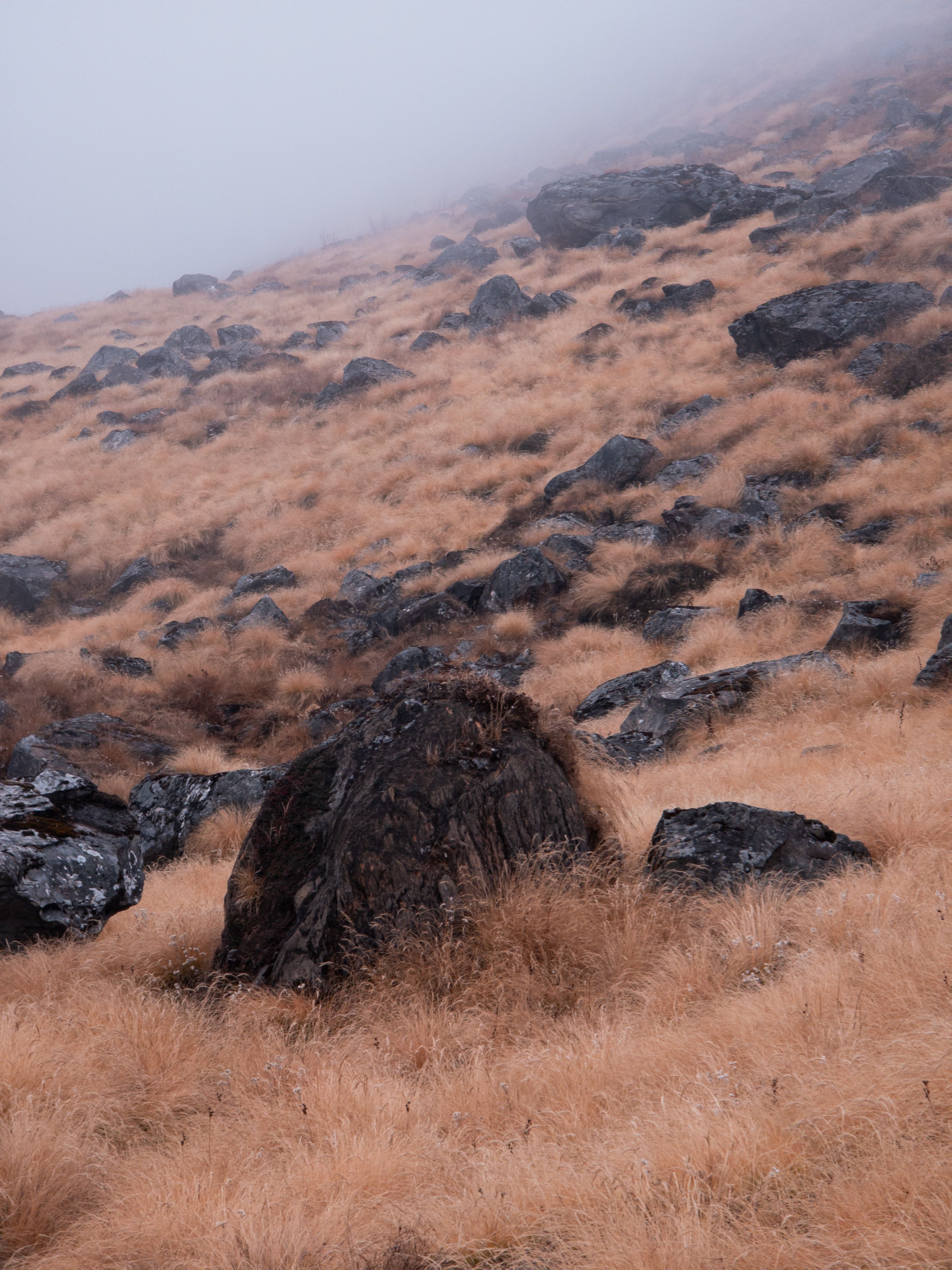 Misty Hillside with Rocks and Dry Grass Landscape · Free Stock Photo