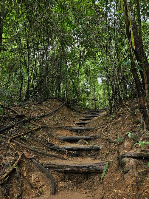 Free Explore the serene beauty of a rustic wooden trail in Chiang Mai, Thailand. Stock Photo