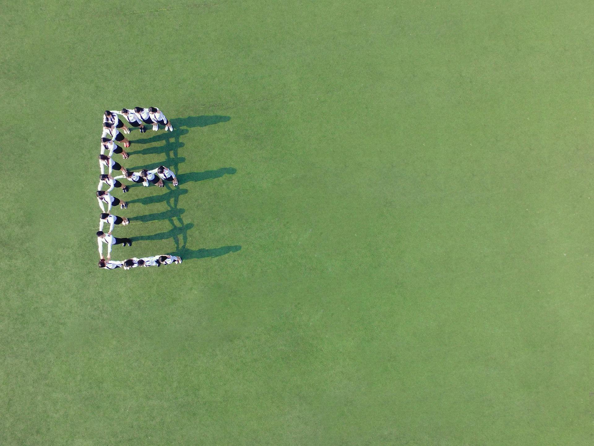 Aerial shot of a group of people forming the letter 'E' on a green grass field.