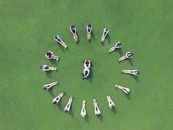 Group of students in uniform forming a circle on a green field, aerial shot.